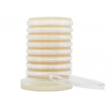 Cetrimide Agar plate Ready to Use culture media HARDY DIAGNOSTICS Cetrimide Agar plate Ready to Use culture media HARDY DIAGNOSTICS