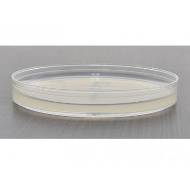 Cetrimide Agar plate Ready to Use culture media HARDY DIAGNOSTICS Cetrimide Agar plate Ready to Use culture media HARDY DIAGNOSTICS