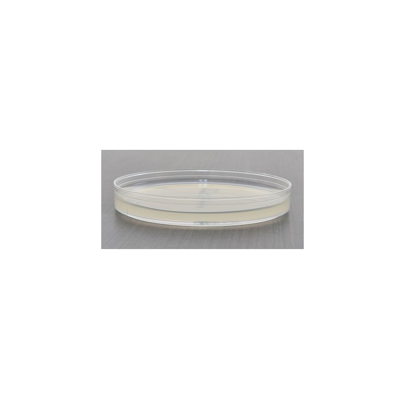 Cetrimide Agar plate Ready to Use culture media HARDY DIAGNOSTICS Cetrimide Agar plate Ready to Use culture media HARDY DIAGNOSTICS