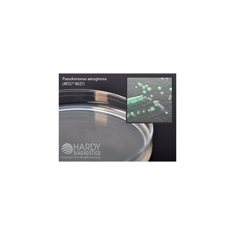 Cetrimide Agar plate Ready to Use culture media HARDY DIAGNOSTICS Cetrimide Agar plate Ready to Use culture media HARDY DIAGNOSTICS