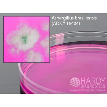DRBC Agar plate Ready to Use culture media HARDY DIAGNOSTICS DRBC Agar plate Ready to Use culture media HARDY DIAGNOSTICS