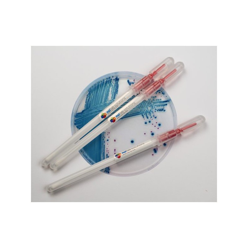 Snap-Stick Enterobacter aerogenes ATCC 13048