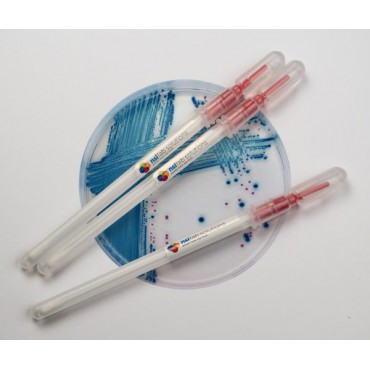 Snap-Stick Salmonella enterica Abaetetuba NCTC 8244 Reference Material for Food NSI