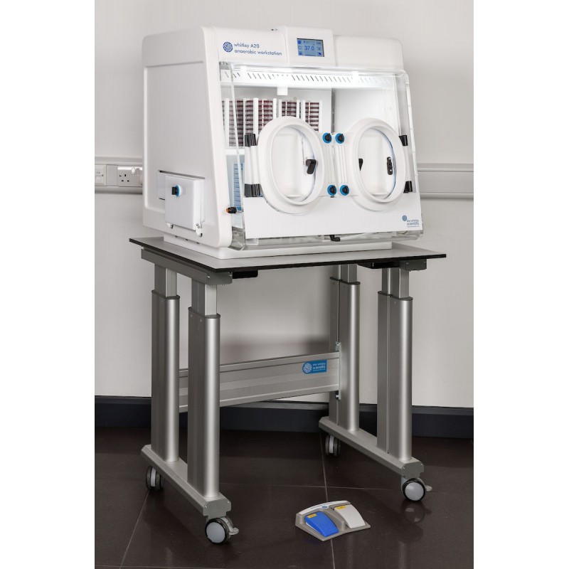 A20 workstation Withley anaerobic workstations Don Withley Scientific A20 workstation Withley anaerobic workstations Don Withley Scientific