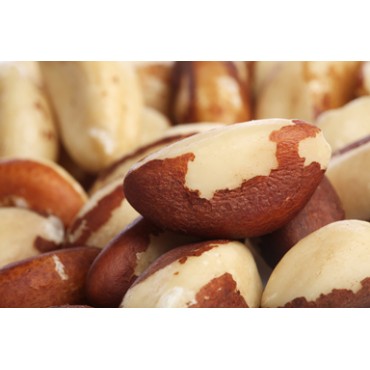 AgraStrip® Pro brazil nuts Allergen testing ROMER LABS