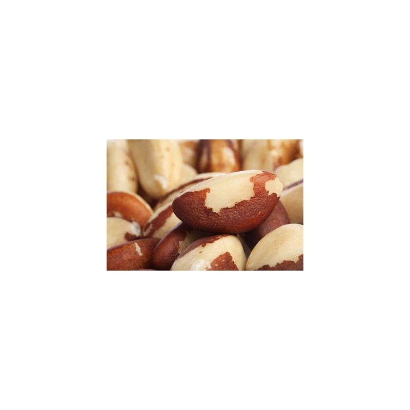 AgraStrip® Pro brazil nuts Allergen testing ROMER LABS