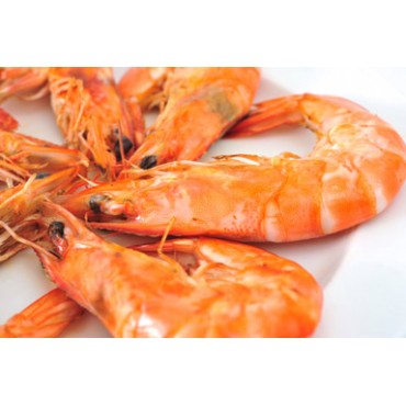 Agrastrip Pro crustacea Allergen testing ROMER LABS