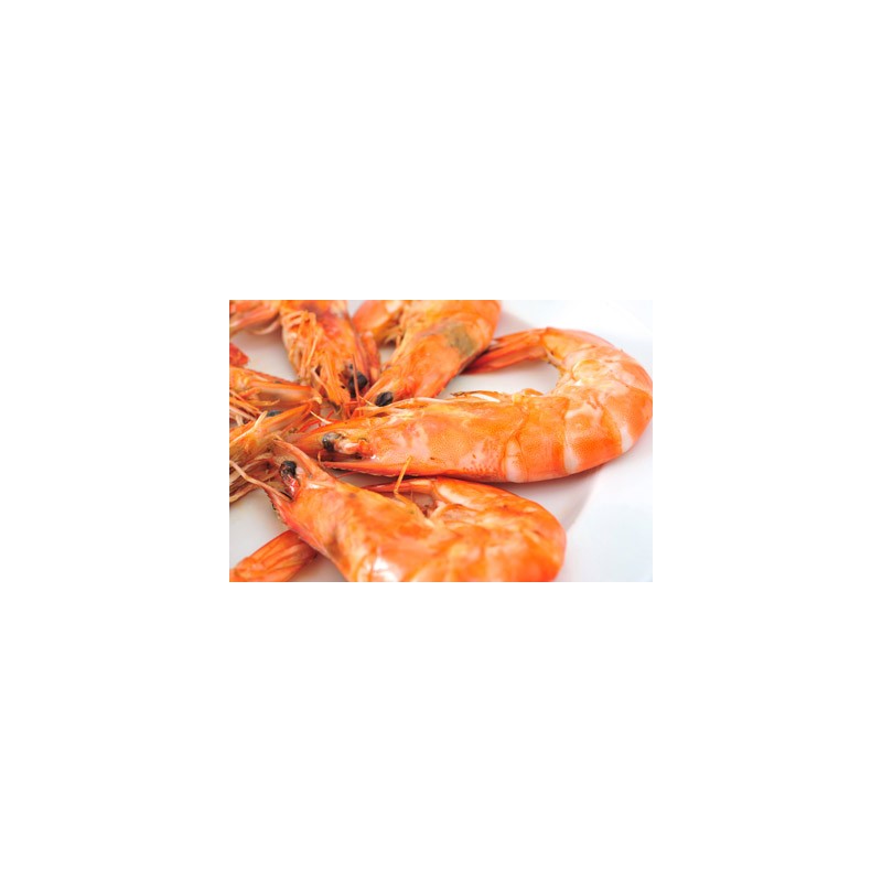 Agrastrip Pro crustacea Allergen testing ROMER LABS