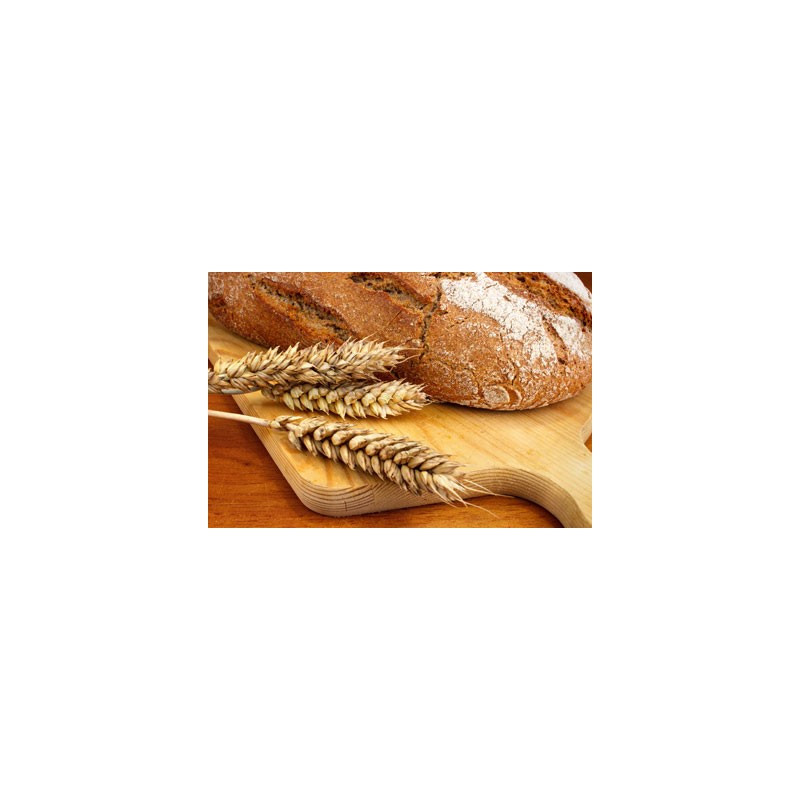 Agrastrip Pro gluten Allergen testing ROMER LABS