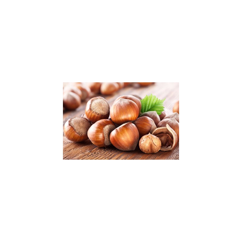 Agrastrip Pro hazelnut Allergen testing ROMER LABS