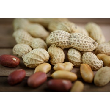 Agrastrip Pro peanut Allergen testing ROMER LABS