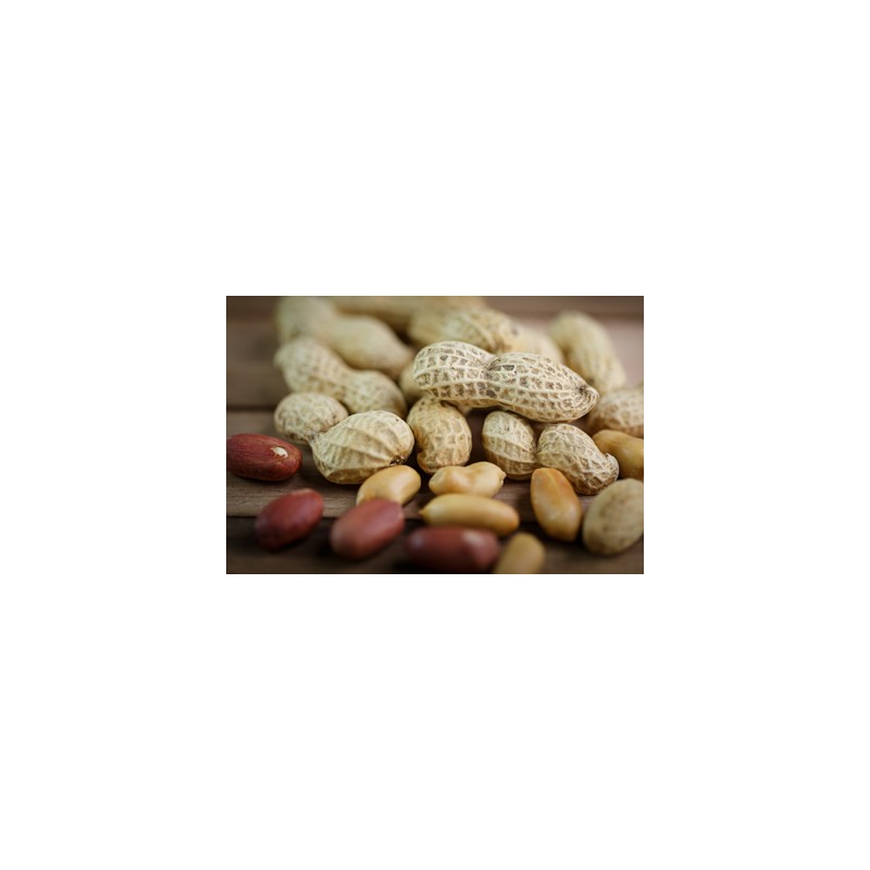 Agrastrip Pro peanut Allergen testing ROMER LABS