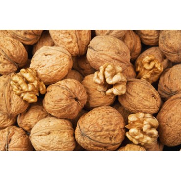 Agrastrip Pro Walnut Allergen testing ROMER LABS