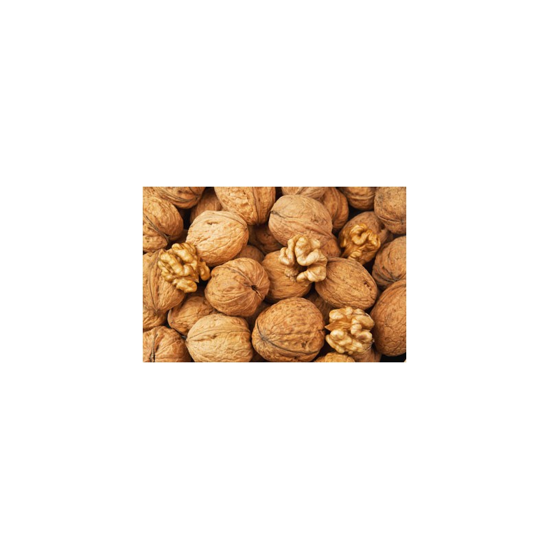 Agrastrip Pro Walnut Allergen testing ROMER LABS