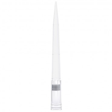 Filter tips 1000ul Pipette Tips Globe Scientific