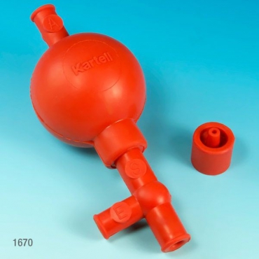 Profilette bulbe