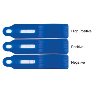 Reveal® 3-D noisettes