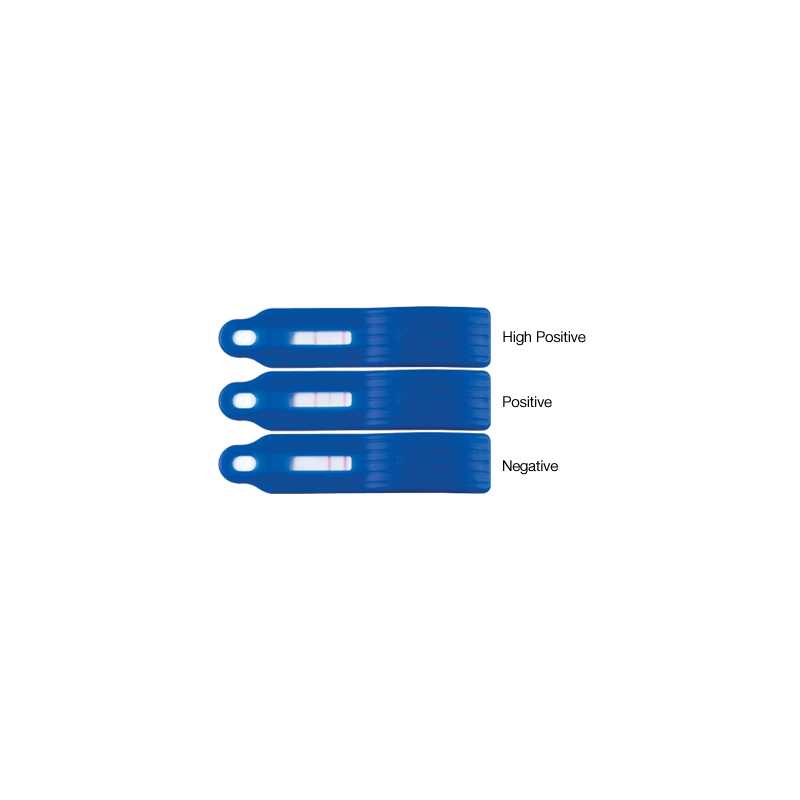 Reveal® 3-D noisettes
