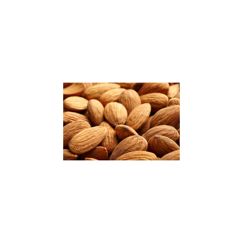 Agrastrip Pro Almond Allergen testing ROMER LABS