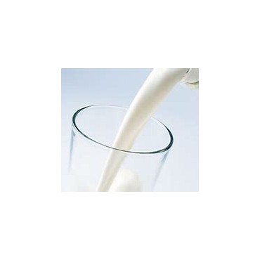 Agrastrip Pro Milk Allergen testing ROMER LABS