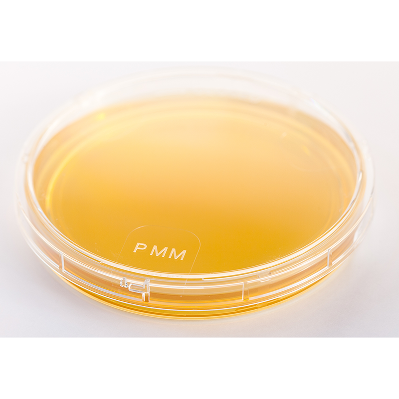 Cetrimide agar (RTU) Ready to Use culture media Biokar Cetrimide agar (RTU) Ready to Use culture media Biokar