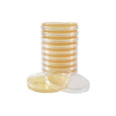 Gélose Trypto-caséine-soja...