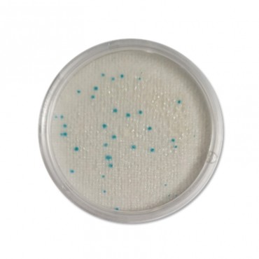 Compact Dry™ LS (Listeria ssp)