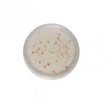 CompactDry™ TC (Compte Totaux)