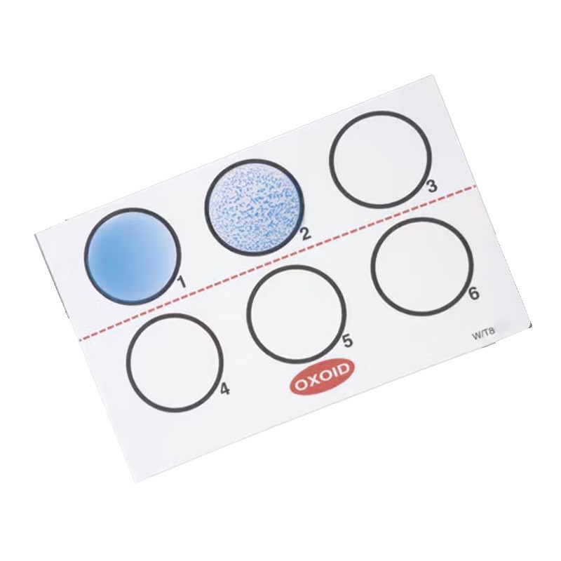 Latex de confirmation Legionella