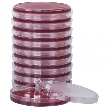 MacConkey Agar plate Ready to Use culture media HARDY DIAGNOSTICS