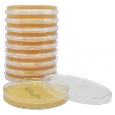 SDA with L&T Agar plate
