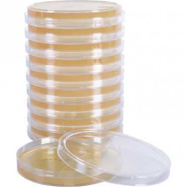 TSA with L&T, Irradiated...