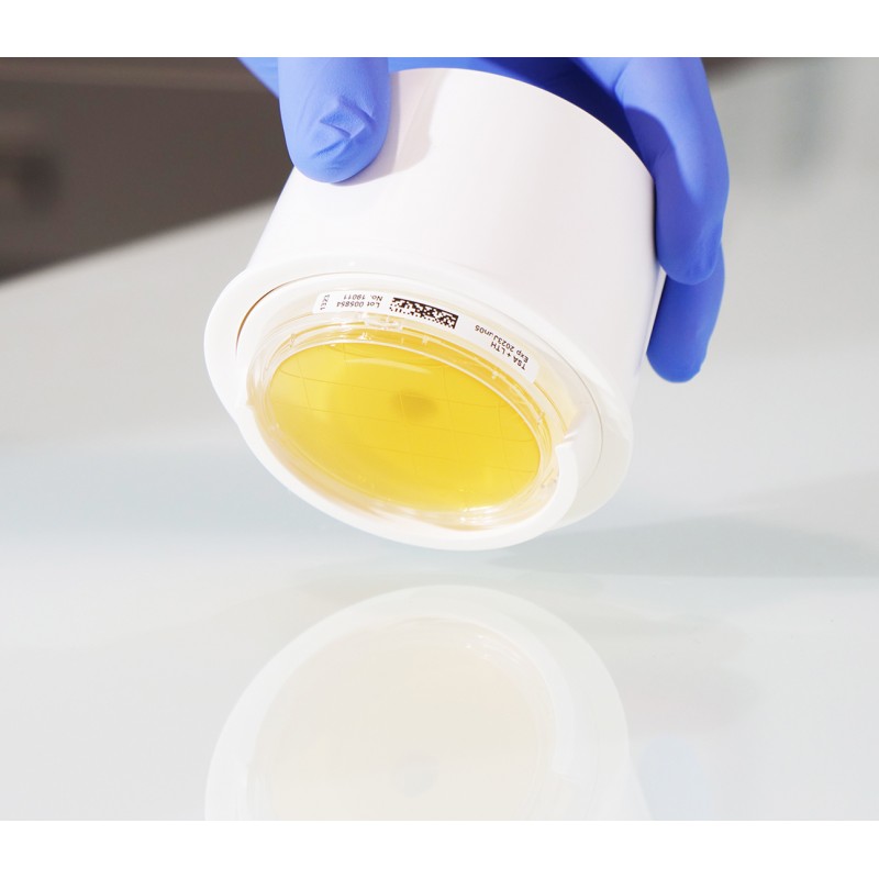 Applicateur pour boîtes contact