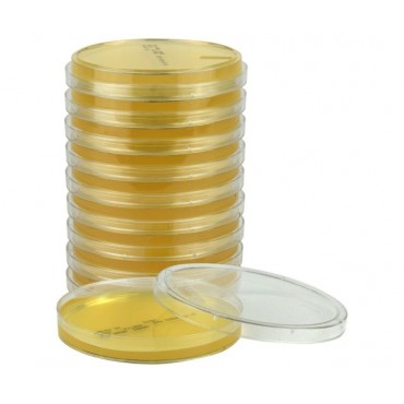 SterEM™ Gélose R2A, USP,...