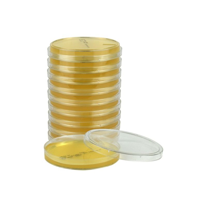 SterEM™ Gélose R2A, USP, irradié, triple emballage