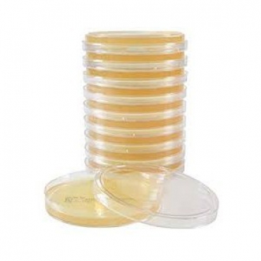 Sabouraud Dextrose Agar (SDA) (RTU) Ready to Use culture media