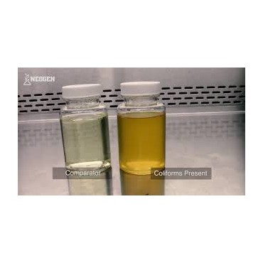 Colitag for E.coli & coliforms (Presence / Absence) Water Testing Neogen