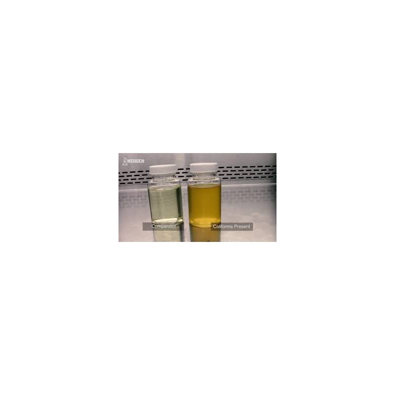 Colitag for E.coli & coliforms (Presence / Absence) Water Testing Neogen