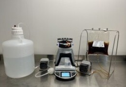 Diluwel Up video